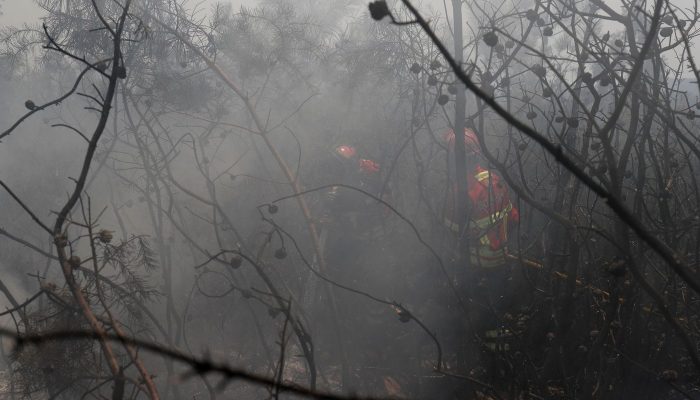 2019-07-21t134323z_1898307389_rc1d606eb770_rtrmadp_3_portugal-wildfires.jpg