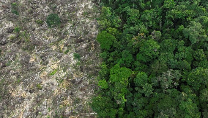 2024-04-18t061539z_305768858_rc22vy97uasu_rtrmadp_3_climate-change-amazon-bonds.jpg