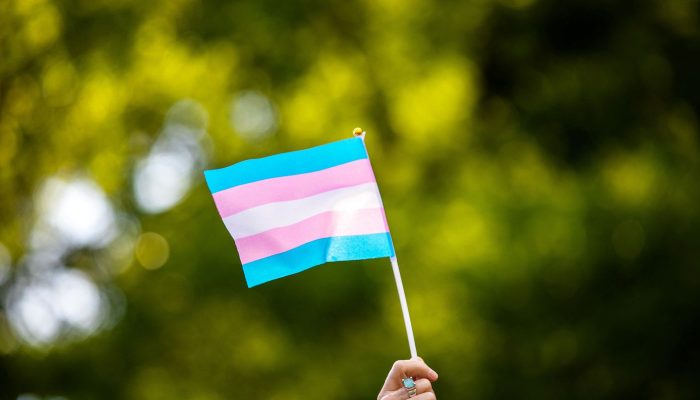 bandeira_trans.jpg