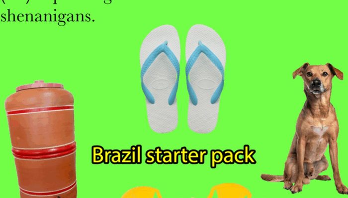 copia-de-greengo-dictionary-2-participa-da-exposicao-com-uma-serie-de-verbetes-que-tensionam-a-liter.jpeg