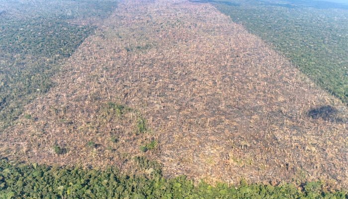 desmatamento-em-labrea-municipio-do-sul-do-amazonas-foto-victor-moriyama-amazonia-em-chamas-2021-2.j.jpeg